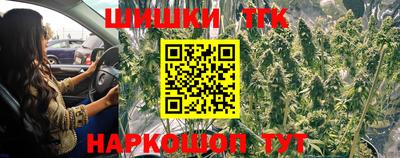 герыч Новодвинск