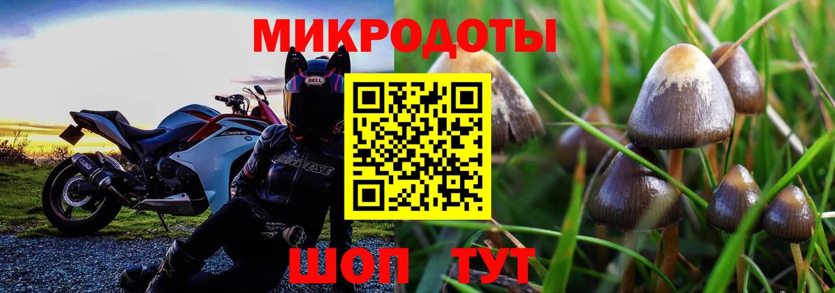 Псилоцибиновые грибы Cubensis Унеча